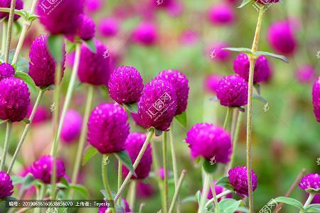 人生平淡的名言句子 平淡一生的好句大全