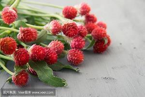桓