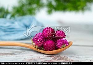 龢利