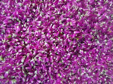 2021端午节祝福语句子文案简短汇总76句