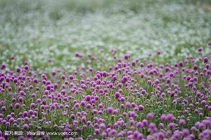 2021元宵节简单的经典一句话最火祝福语