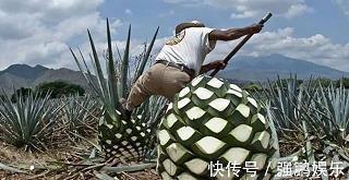 青春感言一句话 致青春感言的句子