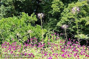 夜晚睡前说说心情短语