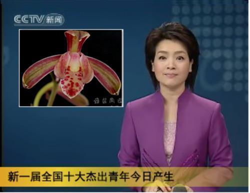 靊