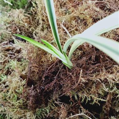 2021十月你好经典说说语句(精选77句)