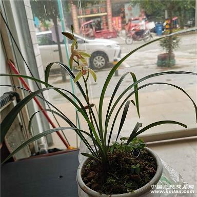 qq空间带图片的伤感说说