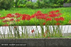 放下感情又释然的句子
