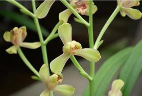 一个人发呆的说说31句