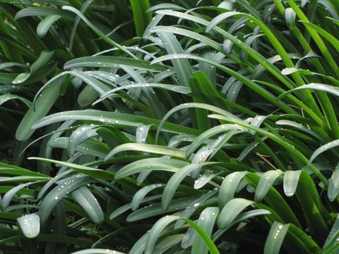 立冬朋友圈句子简单2021年(精选30句)