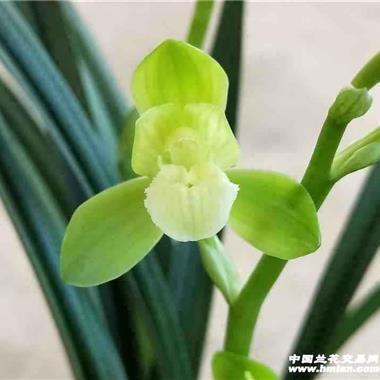 2021适合教师节发朋友圈的说说汇编79句