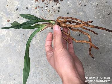 关于抽烟的伤感说说推荐53句