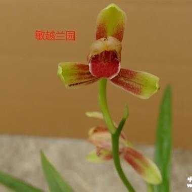 颠簸不破