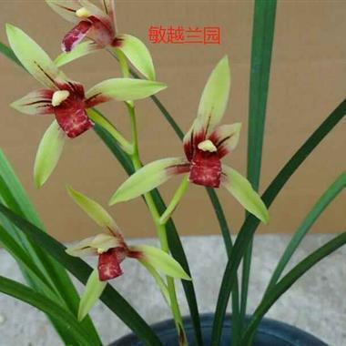 2021国际护士节经典赞美祝福语录汇编63句