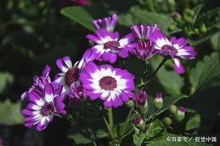 关于工作态度的句子