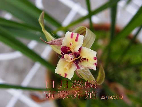 余责