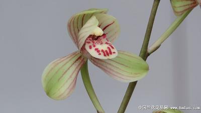qq心情个性说说大全30句