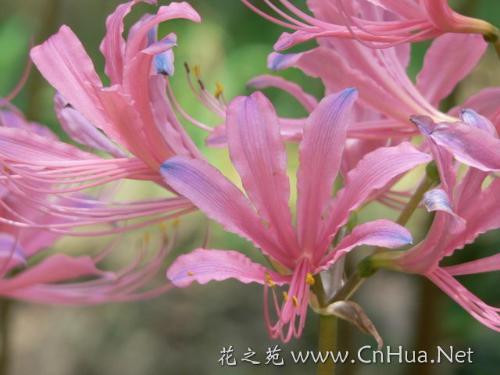 发朋友圈中秋节祝福语简短(精选58条)