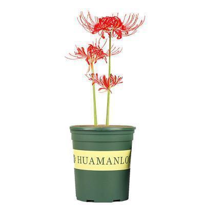 怎么表扬一个人敬业 形容敬业的幽默说说