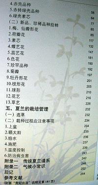 2021年感恩节暖心寄语说说(精选100句)