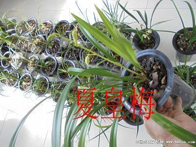 谨终慎始
