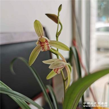 形容一个人孝顺的说说句子 关于孝心的说说(精选20句)