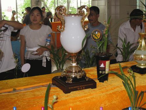 2021最新平安夜说说 平安夜很搞怪的句子幽默