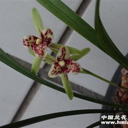 感谢别人怎么说简短 感谢别人帮助的话合集64句