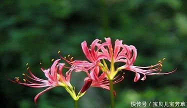 生活在灰色的世界，虽然单调但是不会觉得失望，也不会伤心