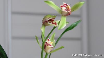 空洞无物