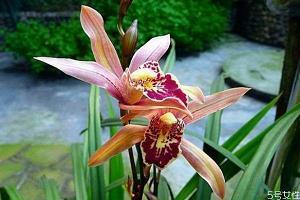 2021最火的短句子抖音