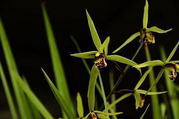 写给偶像的彩虹屁文案 微博超话文案追星正能量汇编35句