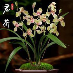 十字短句虐心古风说说大全22句