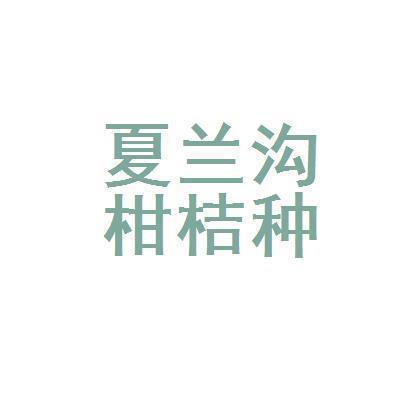 镂金错彩