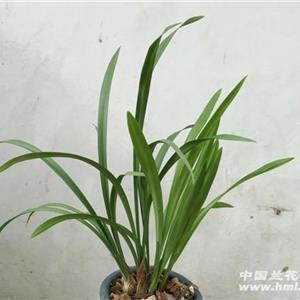 簿