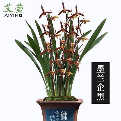 史上最感人挽回句子 关于怎么挽回一段感情的话(精选49句)