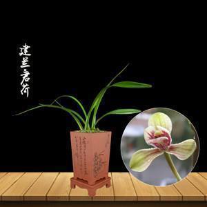 赠送给学校及老师的锦旗标语