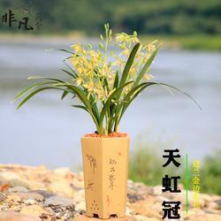 鹑鴳