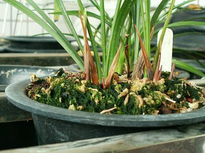 2021教师节文案致敬老师的祝福语录(精选78条)