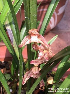 放下过去重新开始说说37句