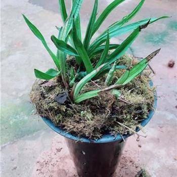 顺美匡恶