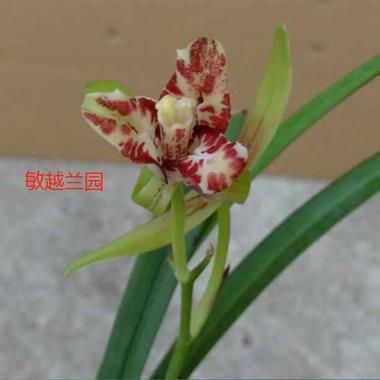 可爱到爆炸的朋友圈说说文案