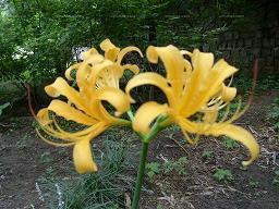 警惕自己的“冤家”同行