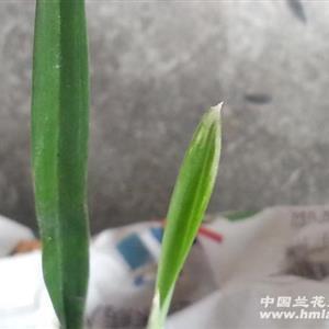 谨终追远