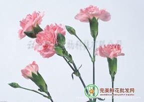 感慨自己老了的说说 感觉自己老了的经典文案
