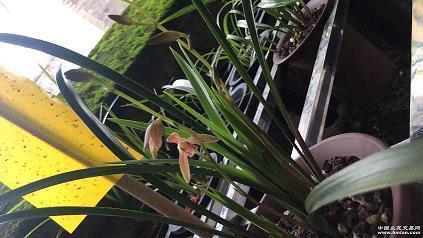 关于两个人感情的说说48句