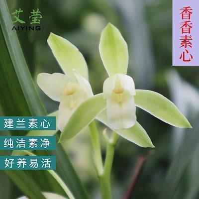 2021超经典的现实爱情说说 写到心里的一句话爱情说说