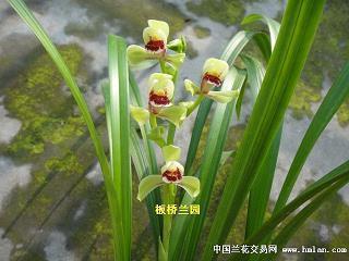 高略