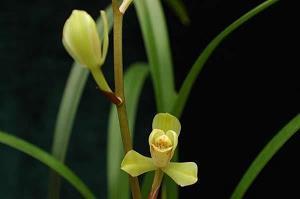 关于爱情幸福唯美的句子合集45句