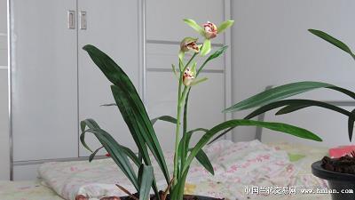 濧