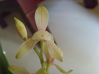 关于团结的优美语句(精选64句)